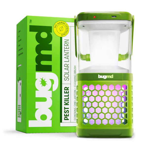 Solar Lantern