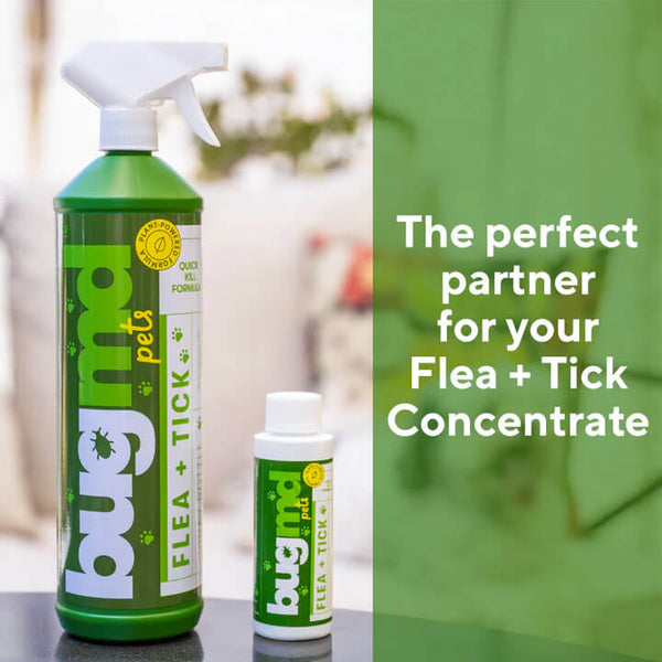 Essential Flea + Tick Concentrate Spray Bottle (Empty)