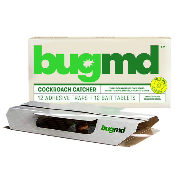 Cockroach Catcher