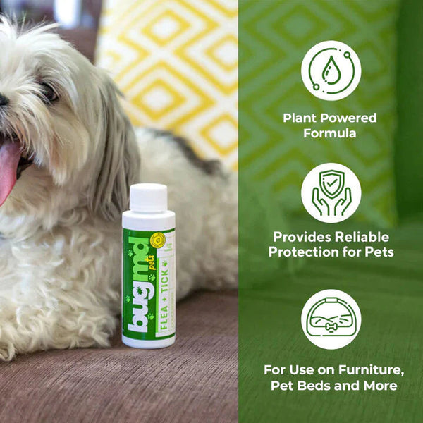 Flea + Tick Concentrate